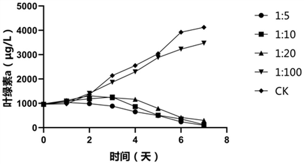 Bacillus licheniformis and application thereof