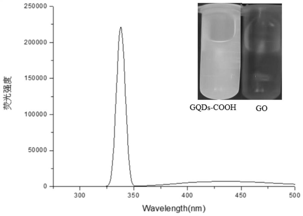 Carboxyl-modified functionalized graphene quantum dot as well as preparation method and application thereof