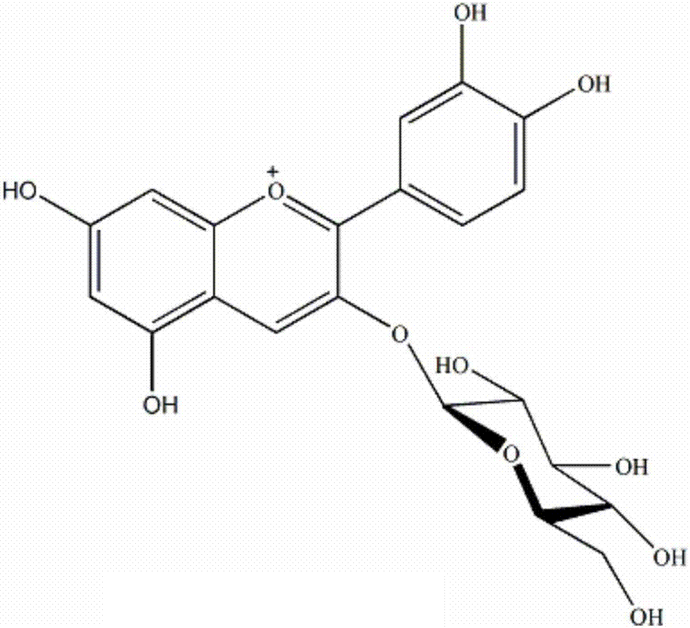 Method for fast efficiently extracting and purifying anthocyanin from lonicera caerulea