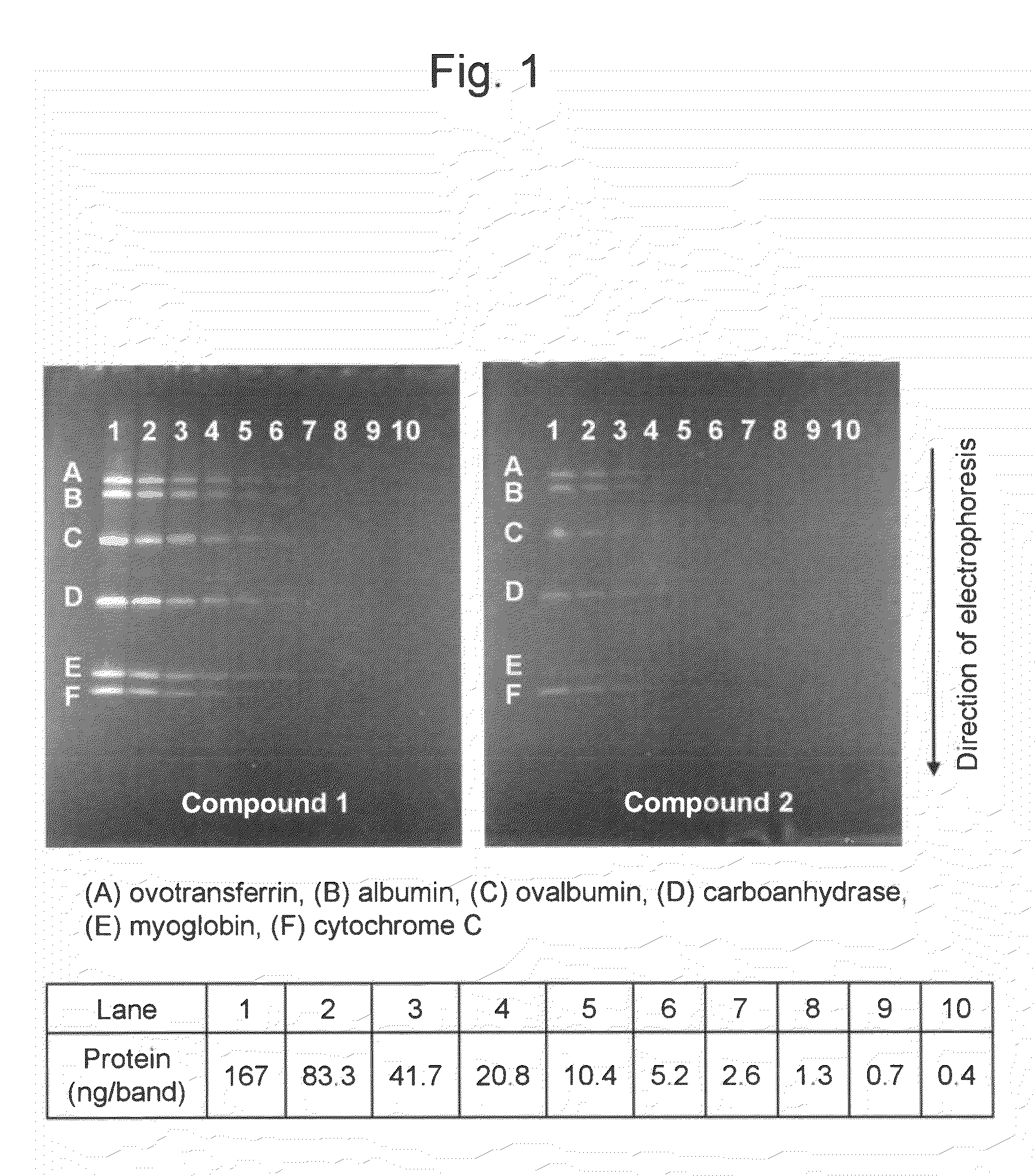 Method and reagent for protein analysis