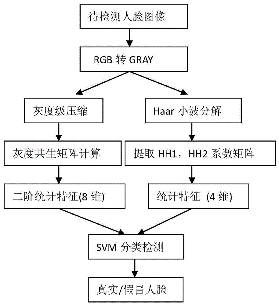 Living body human face detection method based on gray scale symbiosis matrixes and wavelet analysis