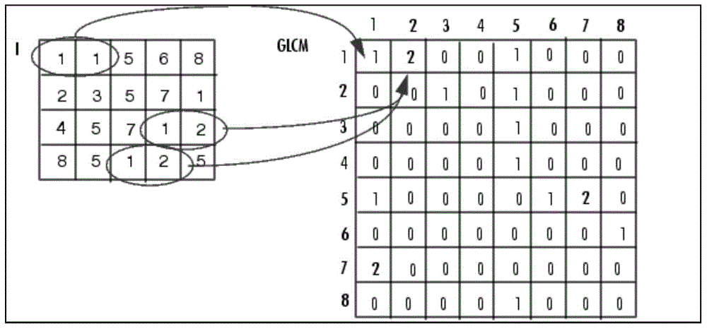 Living body human face detection method based on gray scale symbiosis matrixes and wavelet analysis