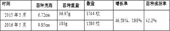 Sea-bottom ear-hanging cultivation method and device for patinopecten yessoensis