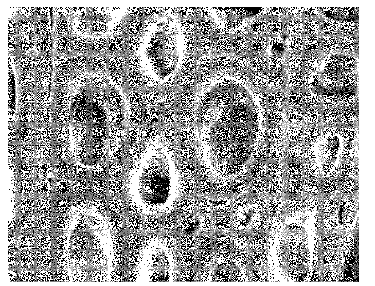 Method for union modification of wood by treating cell walls through silicon-containing compound and filling cell cavities with polymer