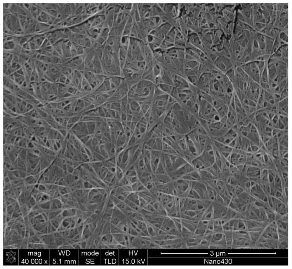 Bionic collagen membrane coated sheet and preparation method thereof