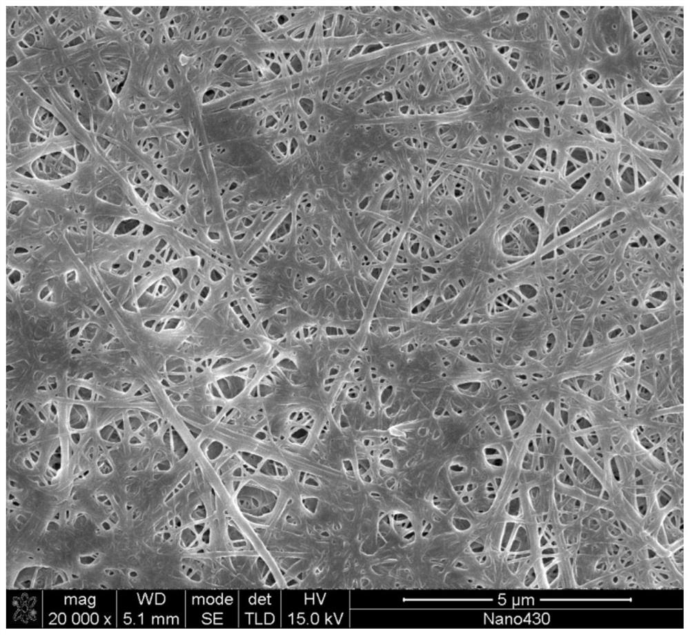 Bionic collagen membrane coated sheet and preparation method thereof