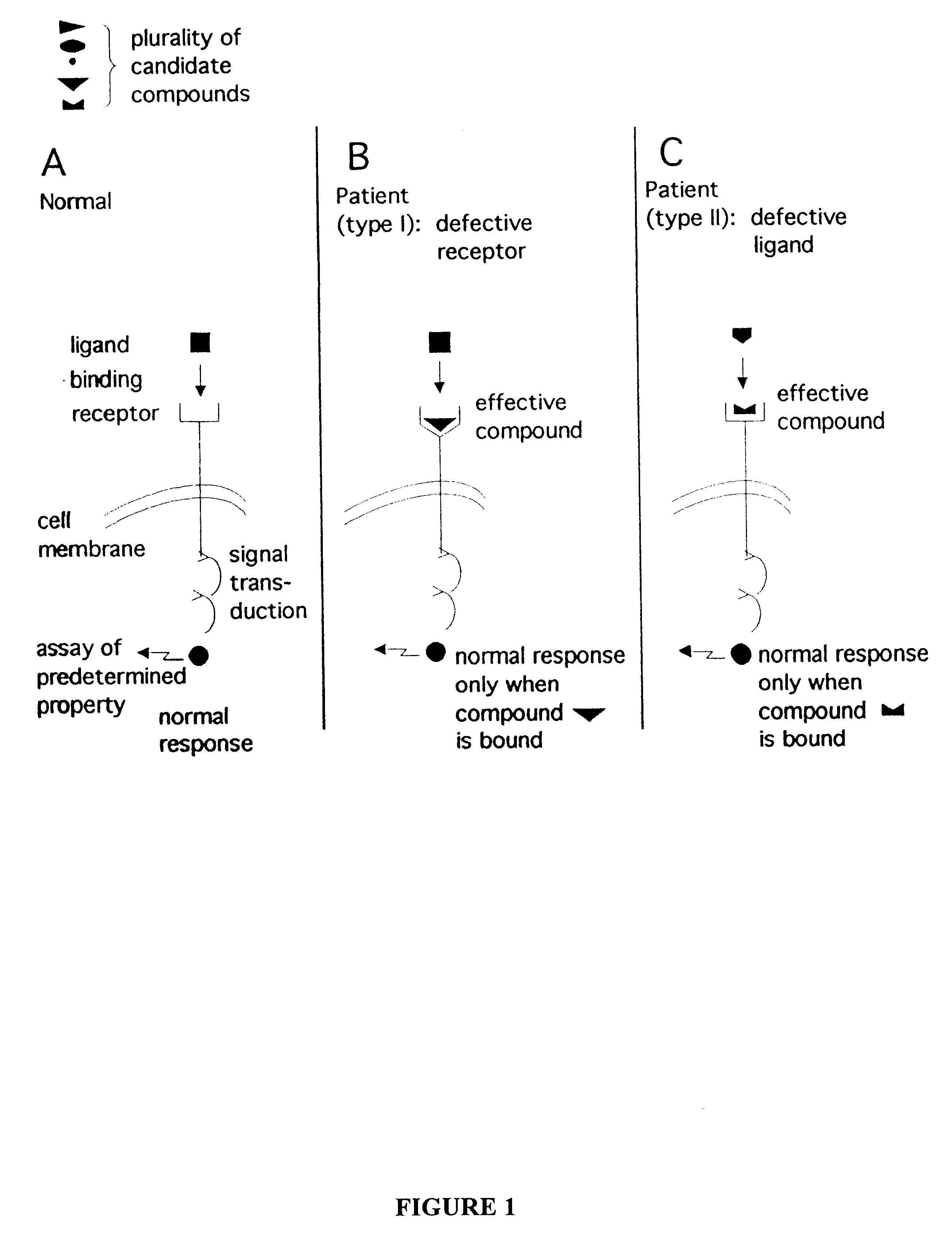 Methods of identifying therapeutic compounds in a genetically defined setting