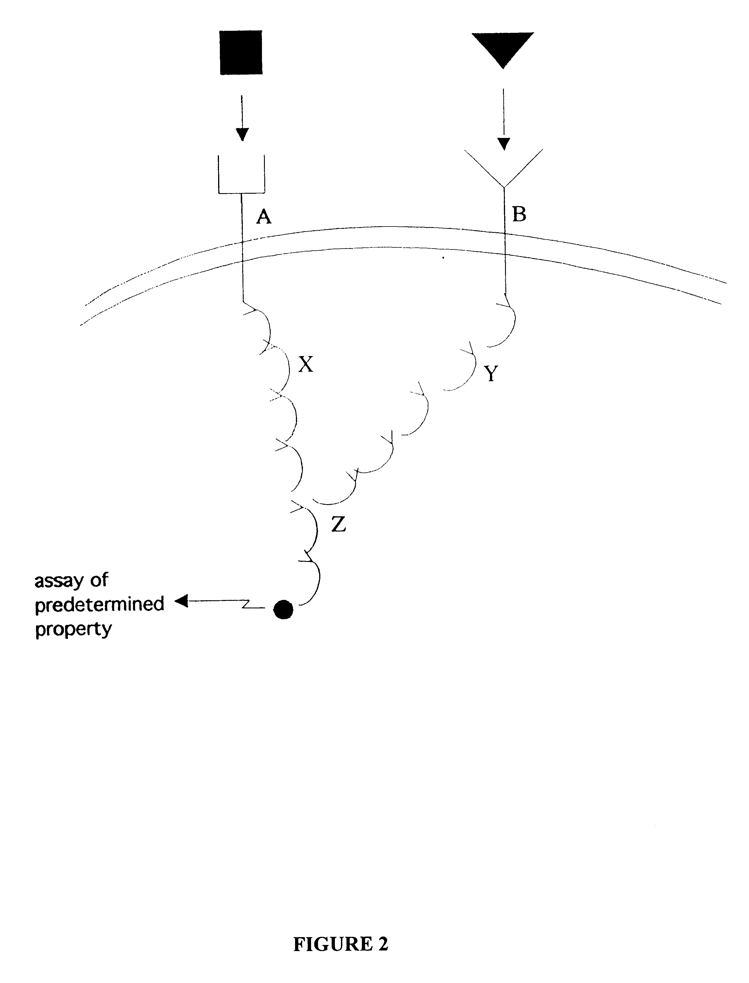 Methods of identifying therapeutic compounds in a genetically defined setting