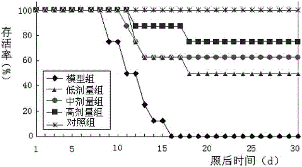 A compound traditional Chinese medicine for radiation protection