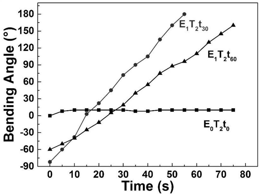 Preparation method and application of a gradient hydrogel soft actuator