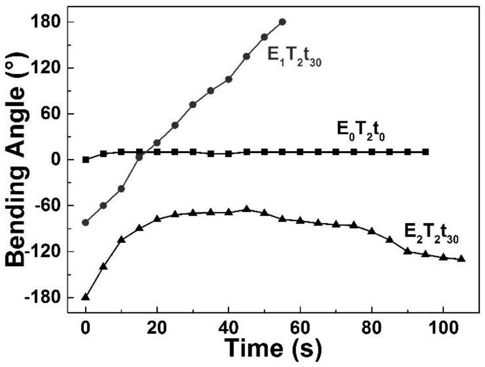 Preparation method and application of a gradient hydrogel soft actuator