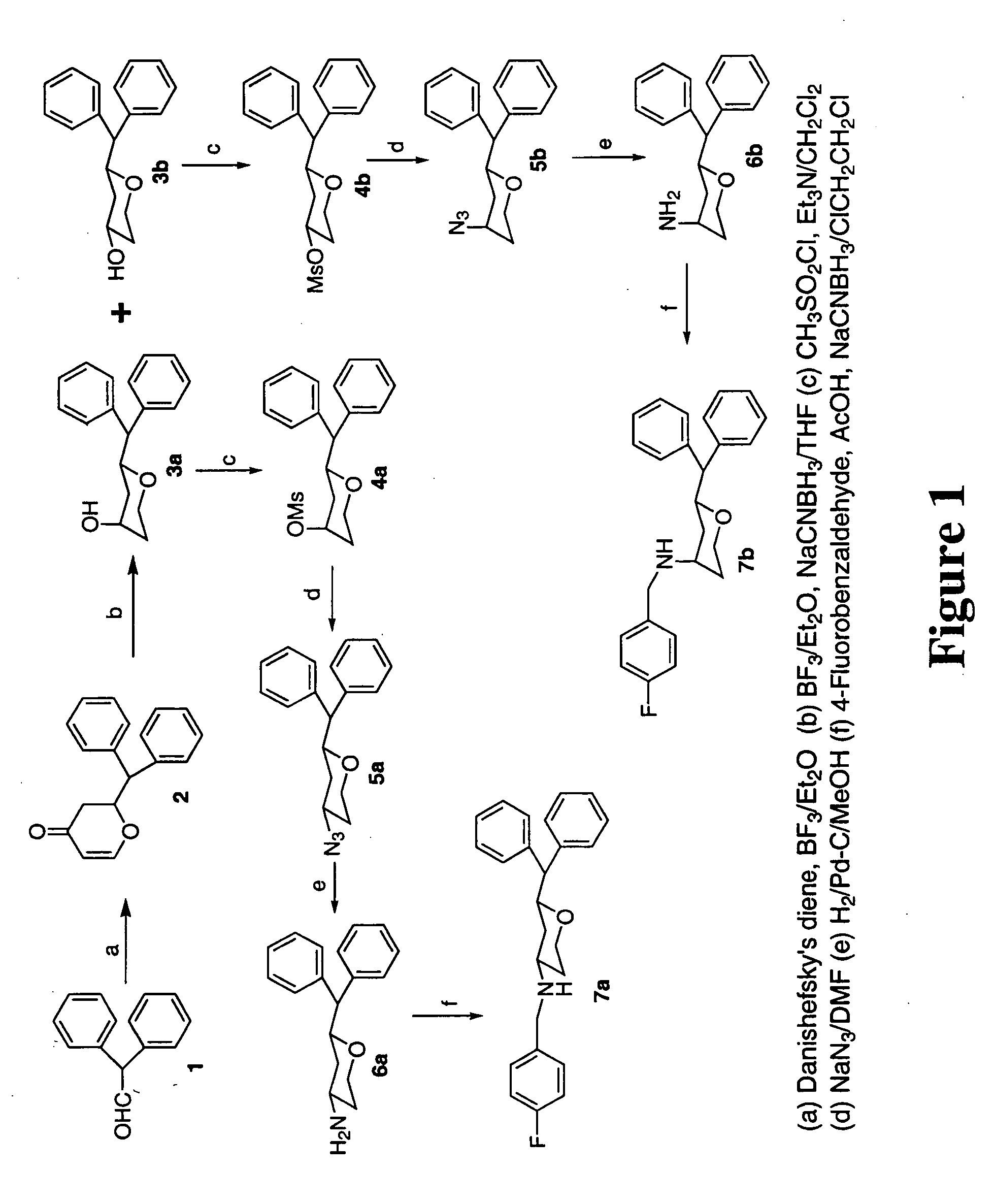 Tri-substituted 2-benzhydryl-5-benzlamino-tetrahydro-pyran-4-ol and 6-benzhydryl-4-benzylamino-tetrahydro-pyran-3-ol analogues, and novel 3,6-disubstituted pyran derivatives