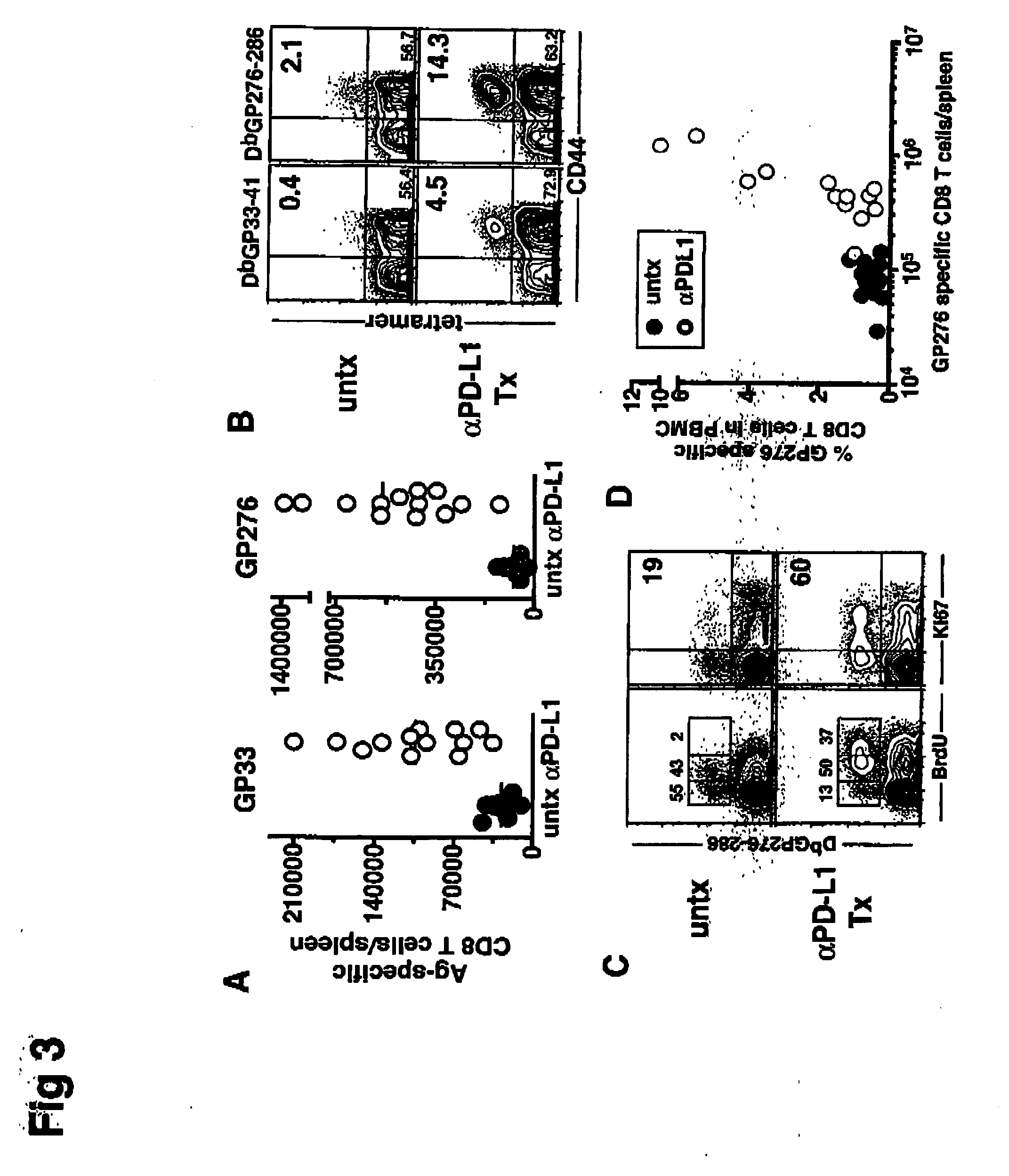 Methods and compositions for the treatment of persistent infections