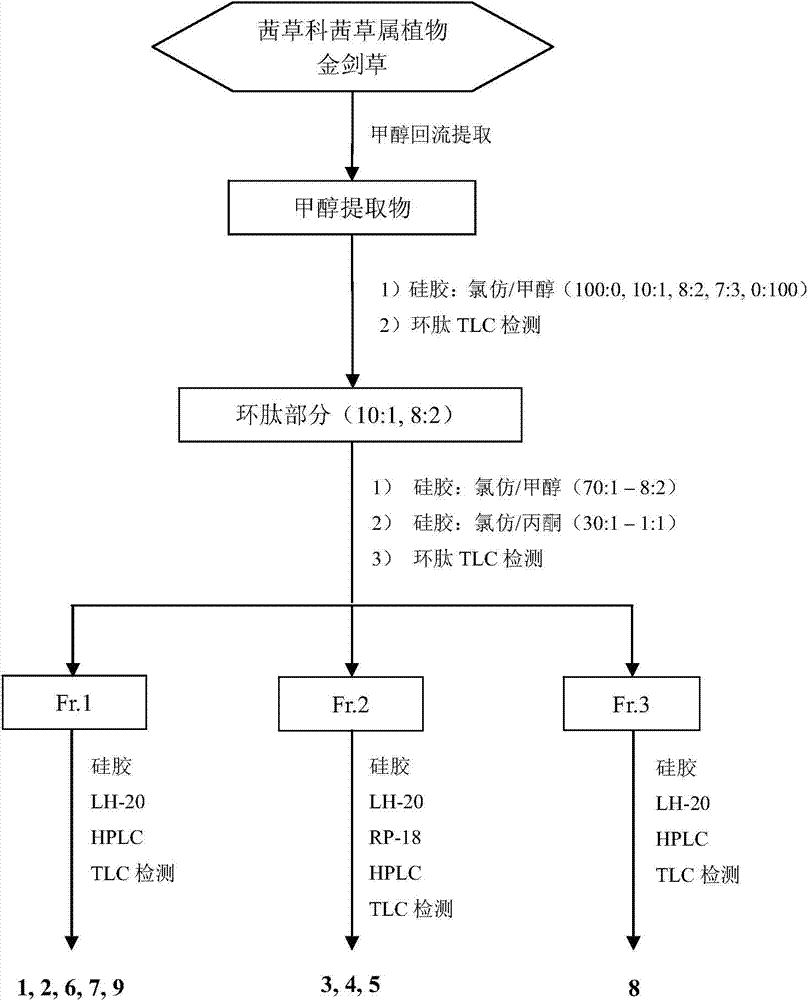 Rubiaceae-type cyclopeptide taken as Hedgehog signal channel inhibitor as well as preparation method and application of rubiaceae-type cyclopeptide