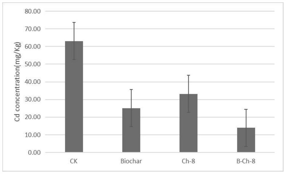 Method for repairing heavy metal-contaminated soil by combining sludge biochar immobilized bacteria with plants