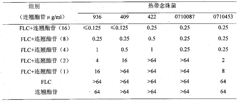 Use of forsythiaside as synergist of antifungal agents