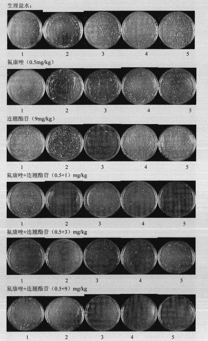 Use of forsythiaside as synergist of antifungal agents