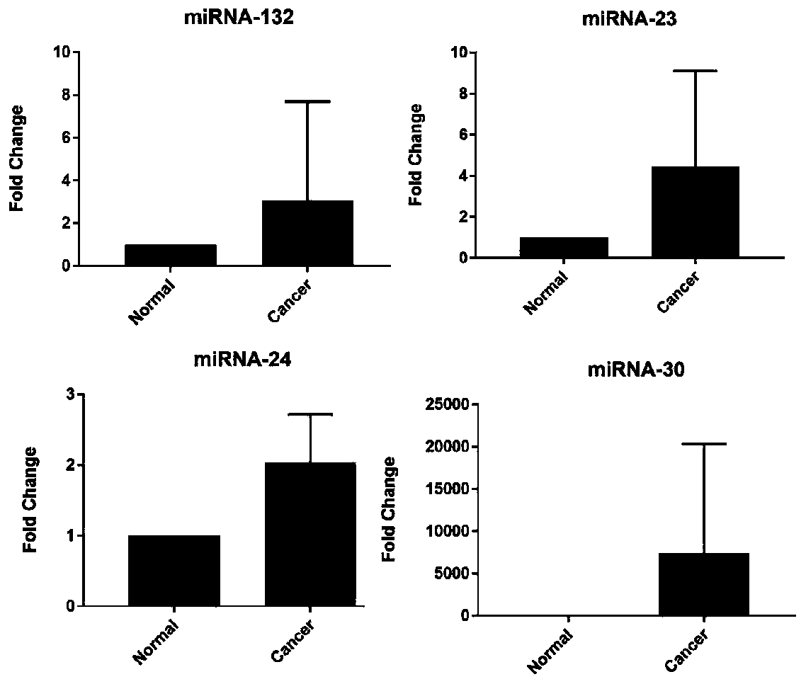 Molecular marker for early pancreatic neoplasm detection as well as detection method and application thereof