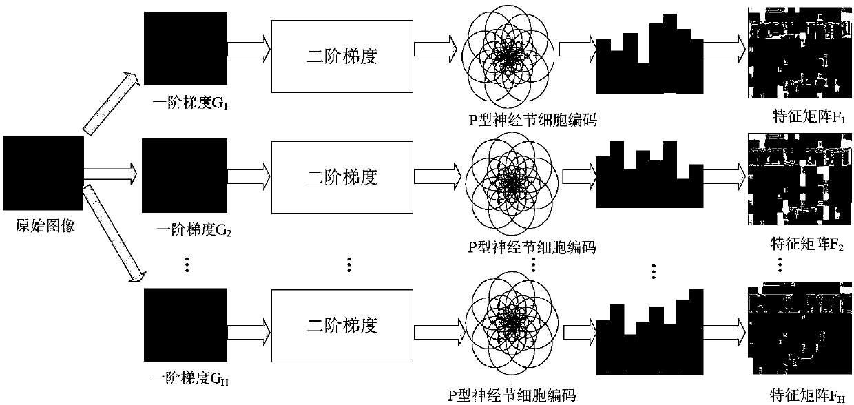 Fabric defect detection method based on multi-feature matrix low-rank decomposition