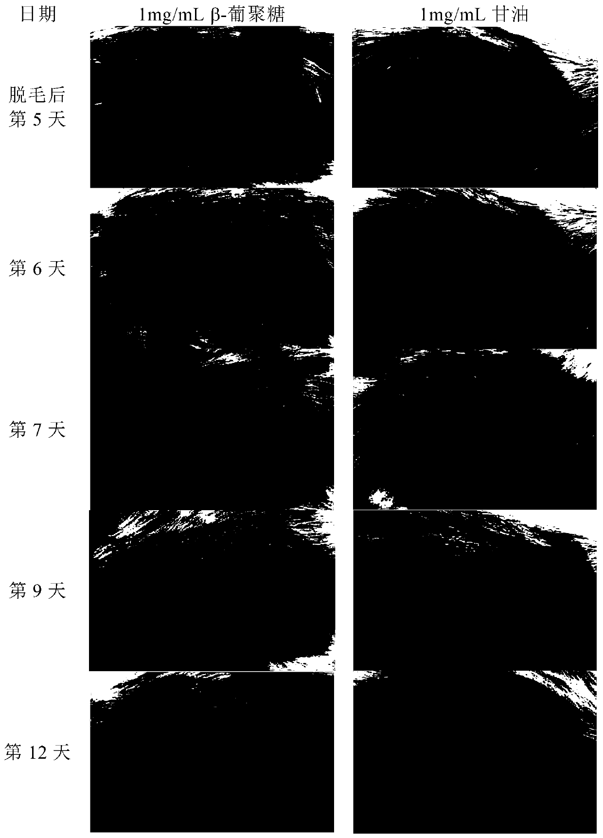 Biologic polysaccharide having effects of promoting hair generation, developing hair and preventing hair loss and application of biologic polysaccharide