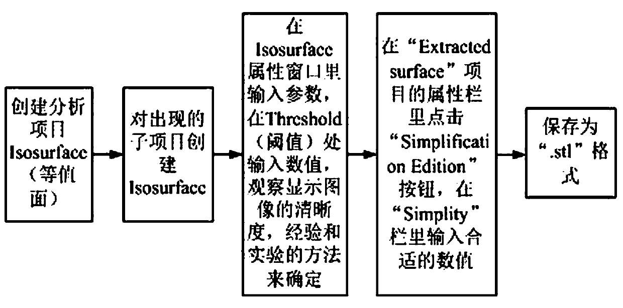 Organism structure three-dimensional reconstruction and finite element analysis method