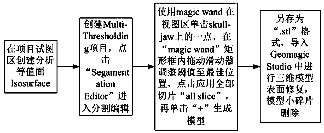 Organism structure three-dimensional reconstruction and finite element analysis method