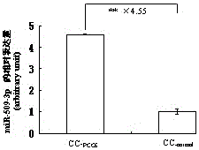 Application of mir-509-3p expression inhibitor in preparation of medicine for treating polycystic ovary syndrome