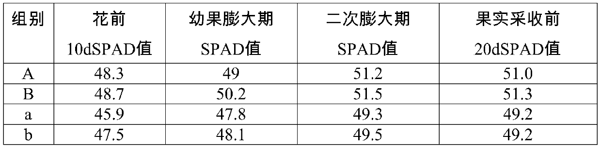 Method for preparing foliar fertilizer by taking ascophyllum nodosum as raw material and foliar fertilizer