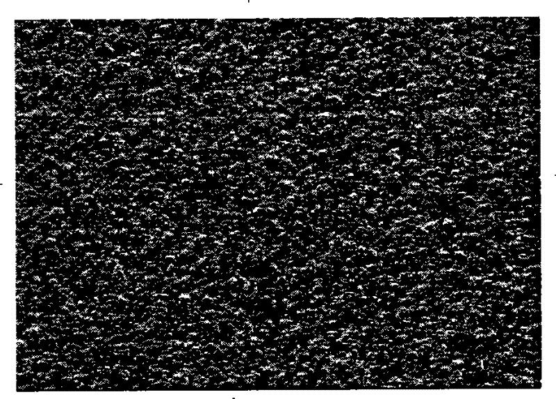 Hybridization film for FCC gasoline desulfurize and method of preparing the same