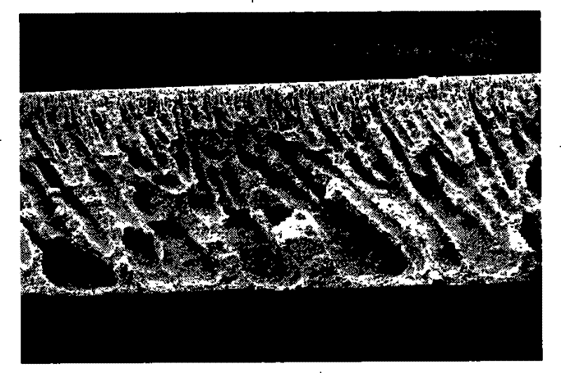 Hybridization film for FCC gasoline desulfurize and method of preparing the same