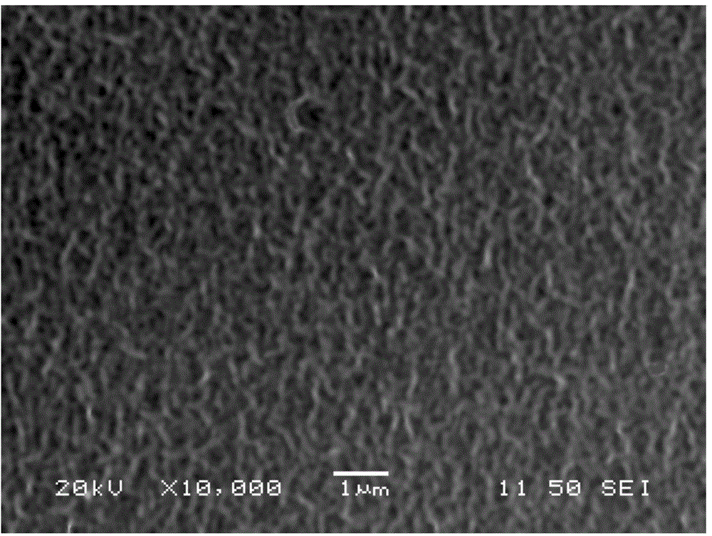 Efficient heavy-metal-ion absorbent material and preparation method thereof