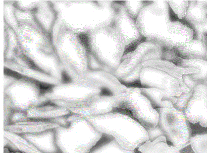 Single-sheet talcum powder and preparation method thereof