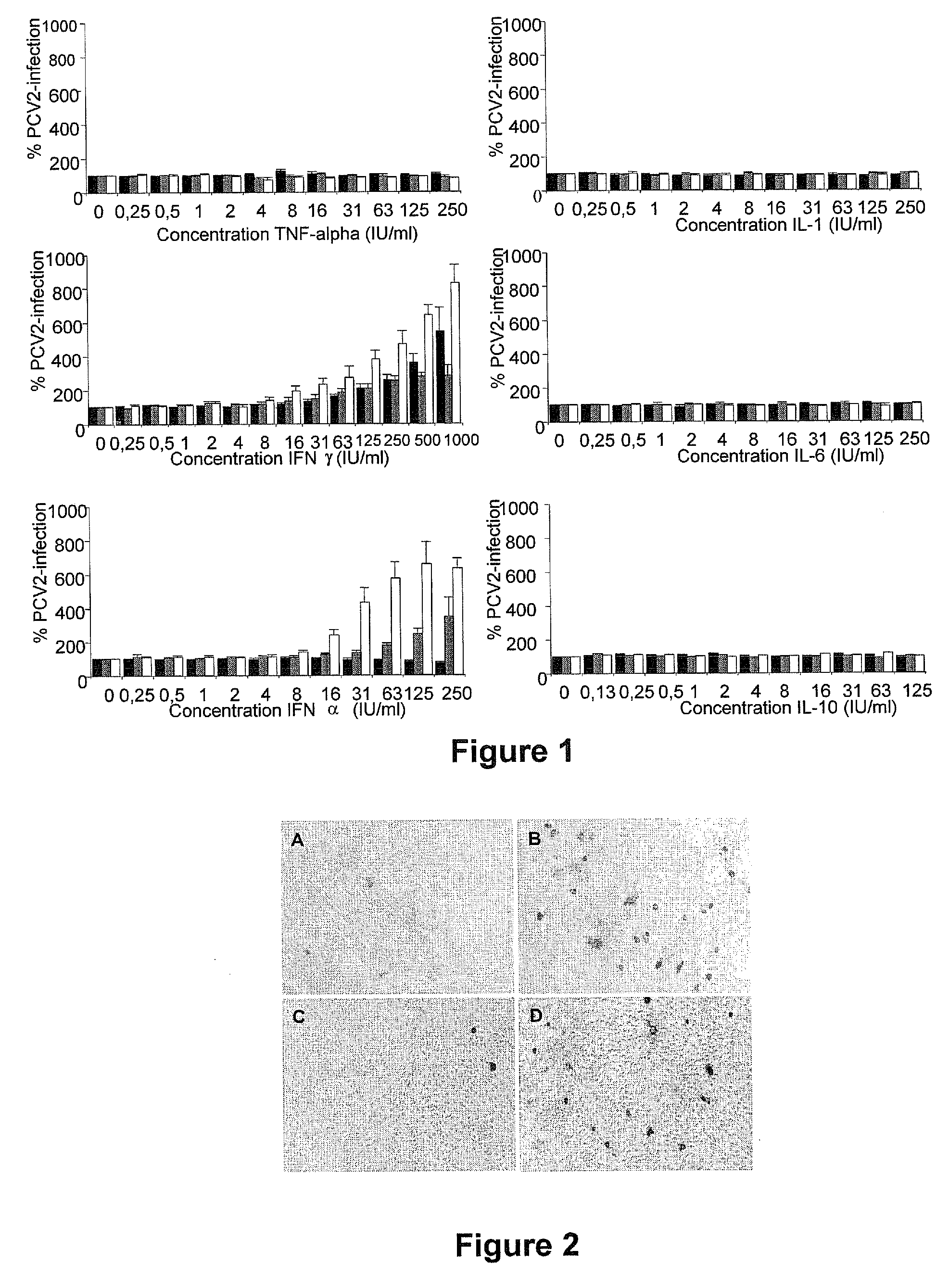 Culturing circular ssDNA viruses for the production of vaccines