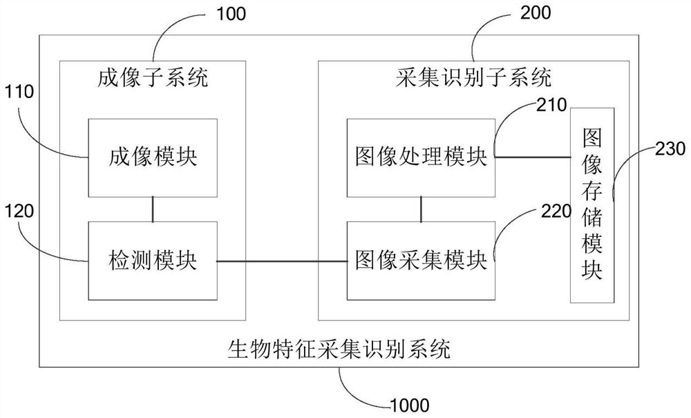 Biological characteristic acquisition and identification system and method, terminal equipment and storage medium