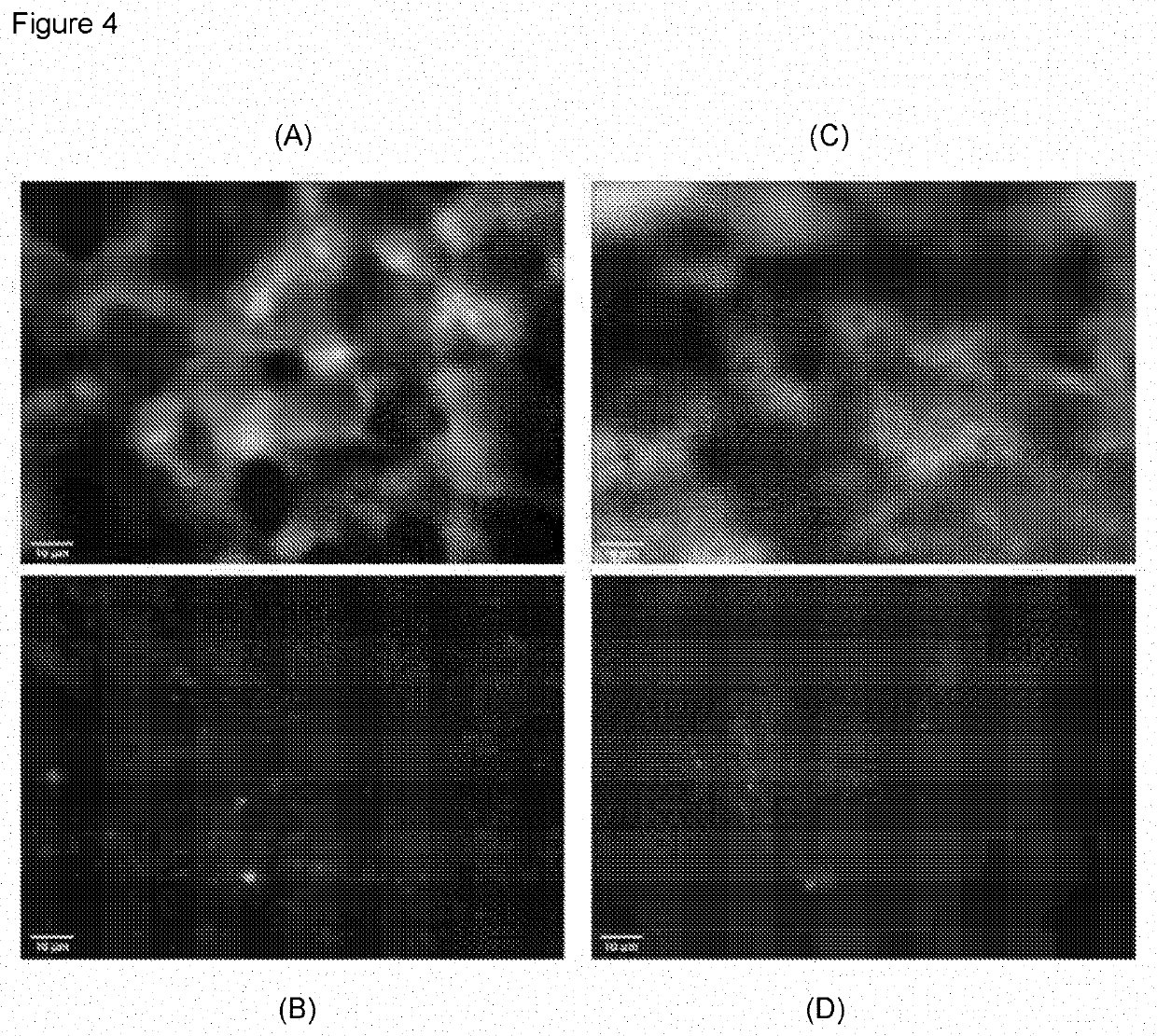 Antimicrobial azo compounds and uses thereof