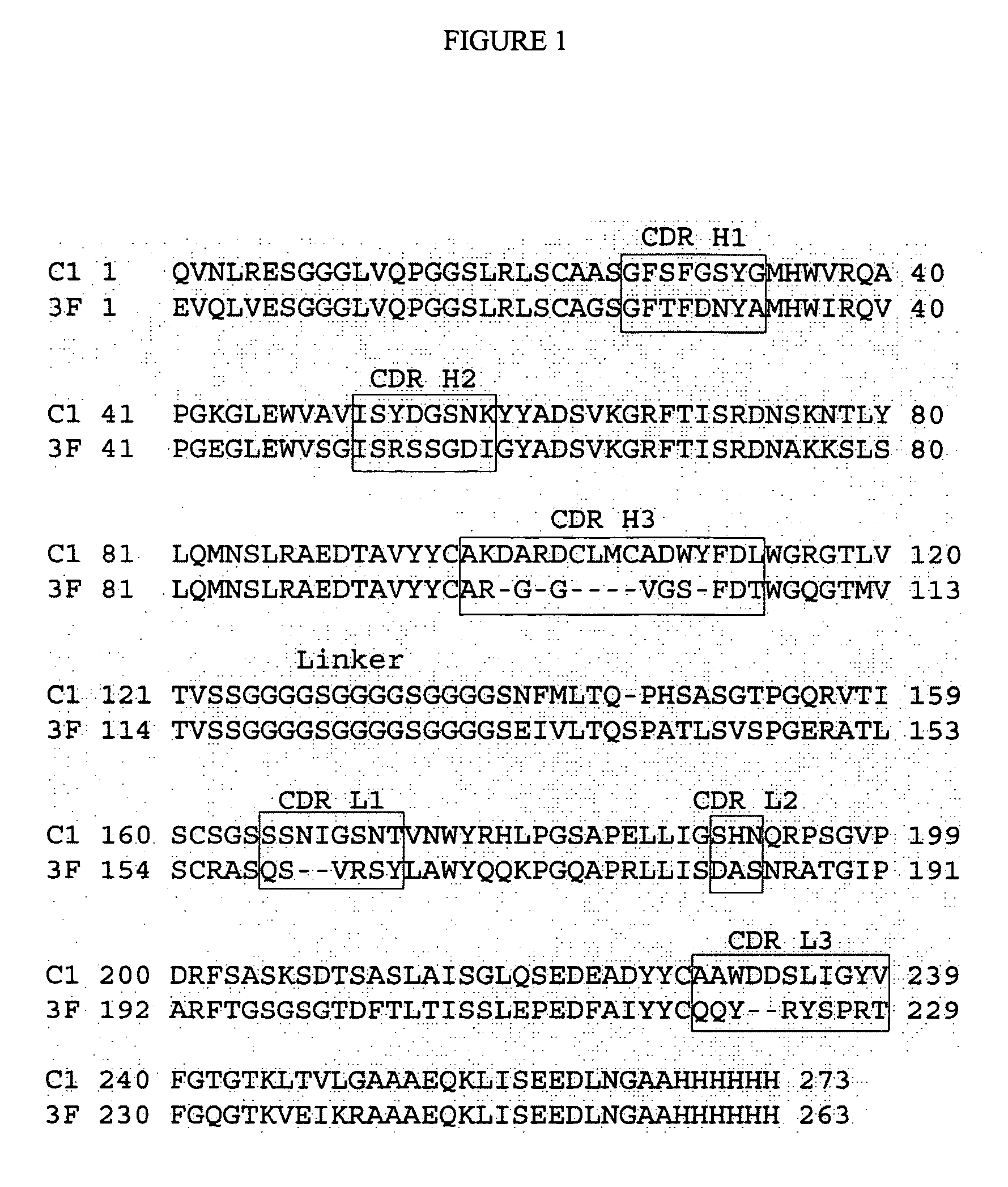 Human antibody variants that specifically recognize the toxin CN2 from Centruroides noxius scorpion venom