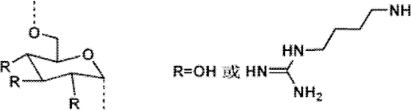 Glucan-agmatine polycation transgenic vector, and preparation method and application thereof