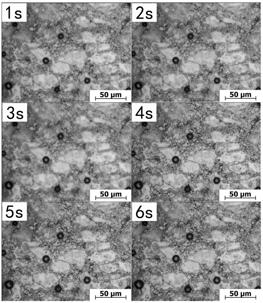 Method for recording and observing corrosion behavior of magnesium alloy microstructure in situ