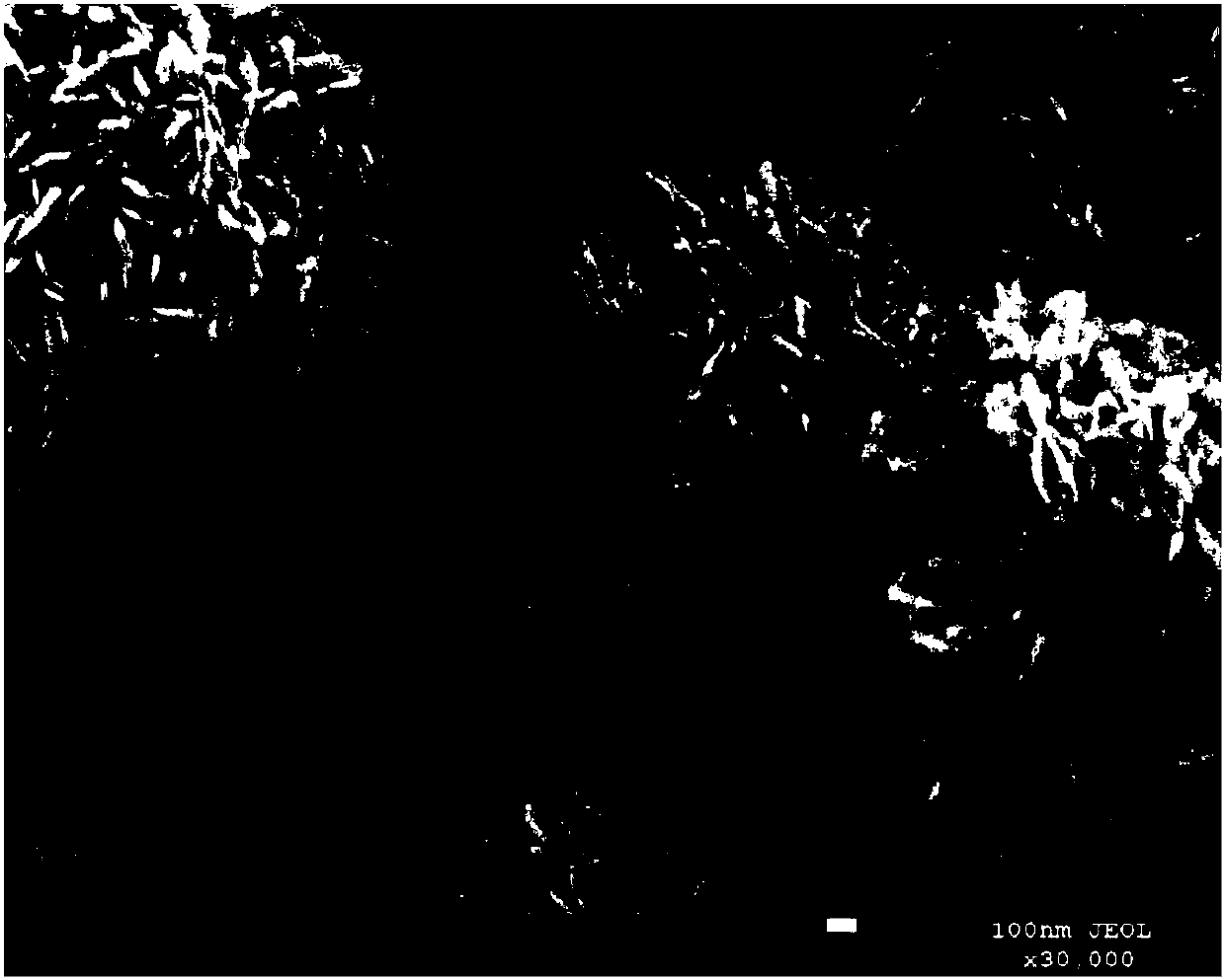 Solar nitrogen fixation pholocatalyst as well as purpose and preparation method thereof