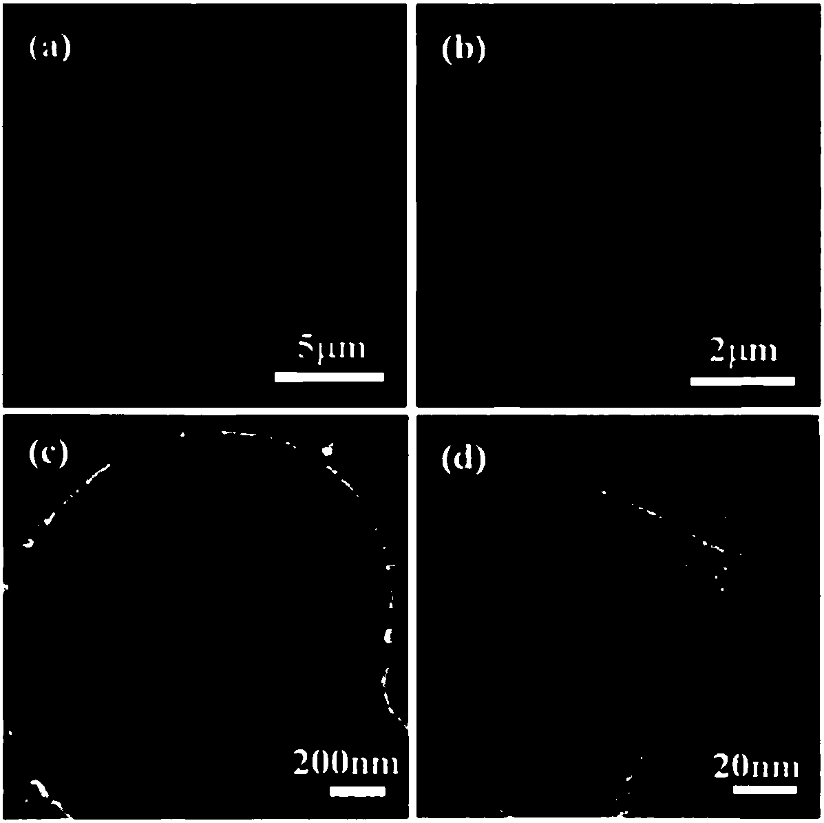 Preparation method of nitrogen-oxygen co-doped porous carbon/ferroferric oxide composite material and application of nitrogen-oxygen co-doped porous carbon/ferroferric oxide composite material in supercapacitor electrode