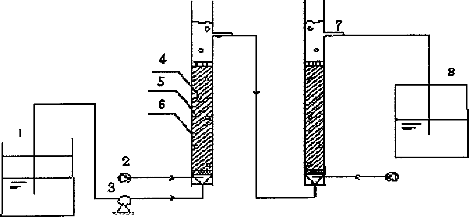 Method and apparatus for immobilizing cells to treat wastewater