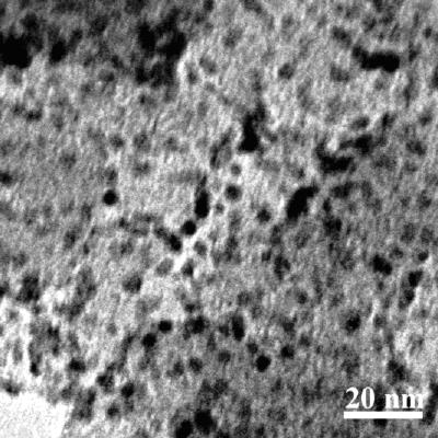 Method for preparing carbon loading Pd nanometer particle catalyst by using homogeneous precipitation-reduction in situ method