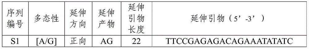 Method for detecting sheep FecB gene polymorphism by use of SNaPshot technology