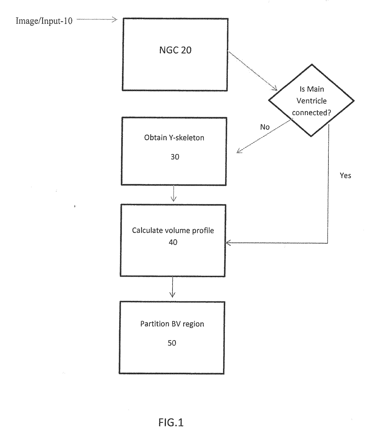 Method for gestational age estimation and embryonic mutant detection