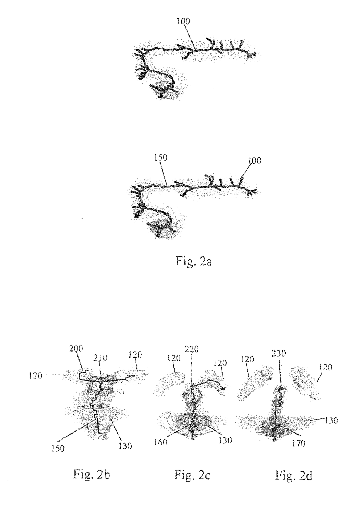 Method for gestational age estimation and embryonic mutant detection