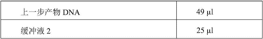 Aneuploidy biological information analysis method and system