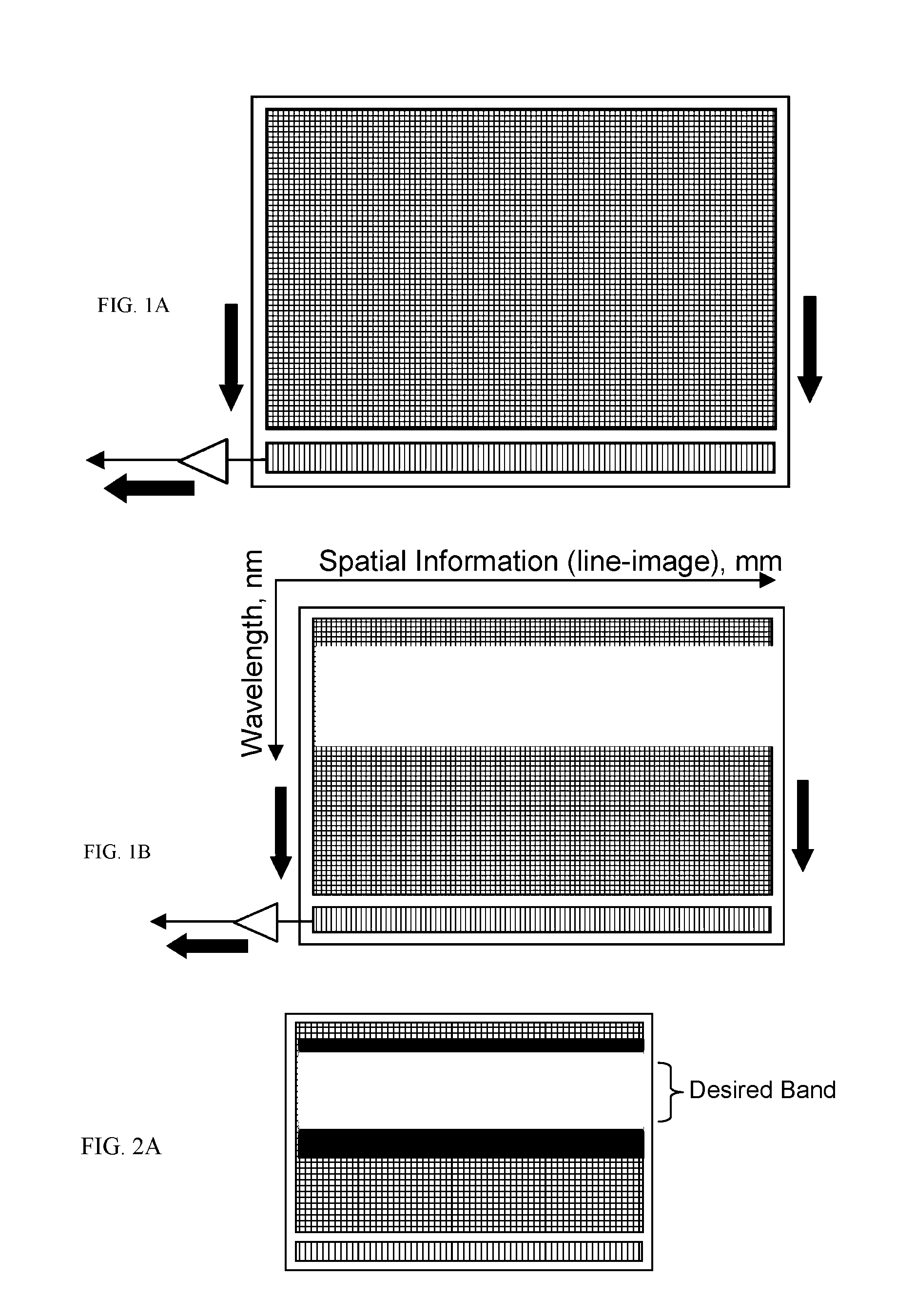 On-chip spectral filtering using CCD array for imaging and spectroscopy