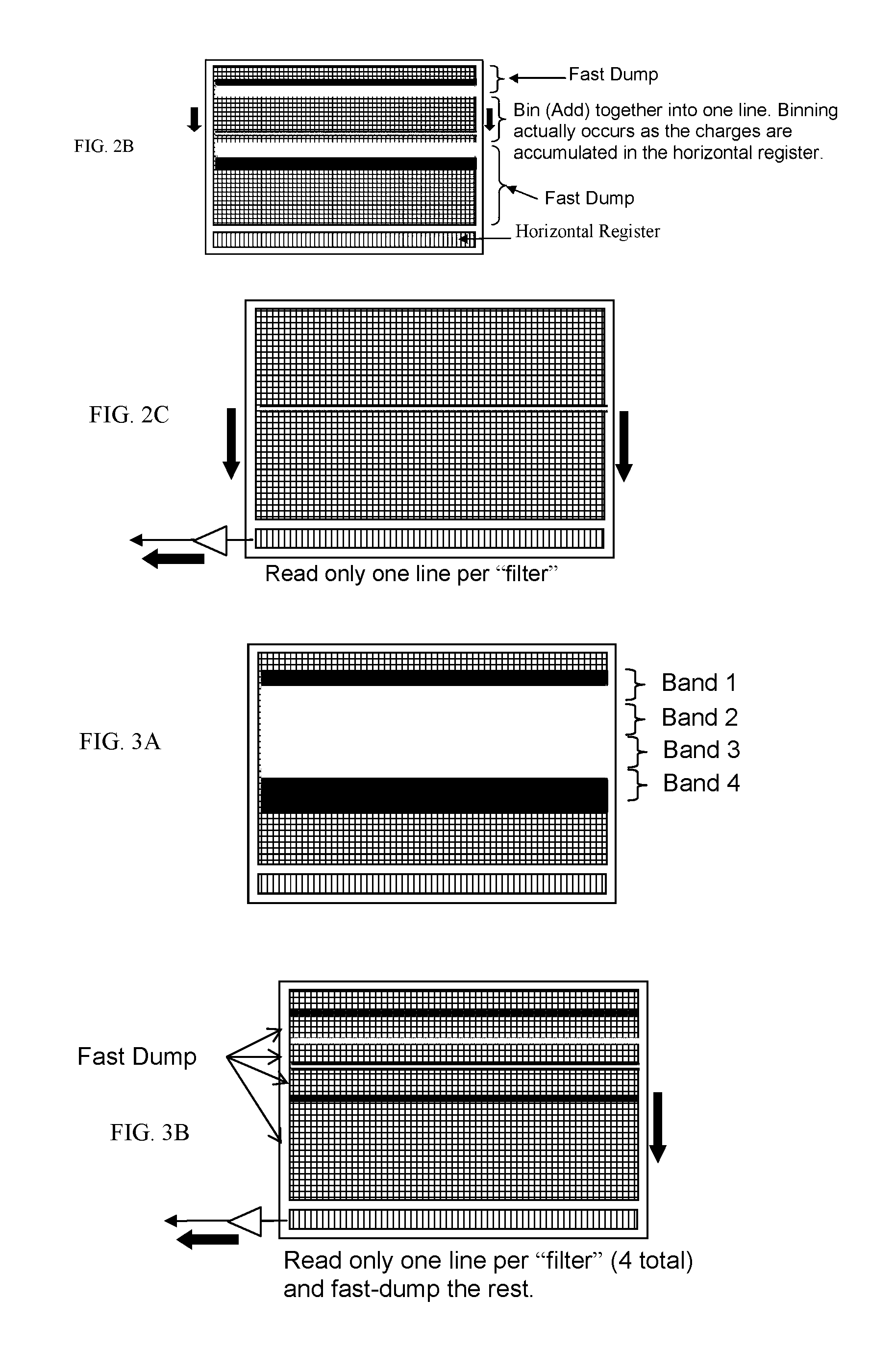 On-chip spectral filtering using CCD array for imaging and spectroscopy