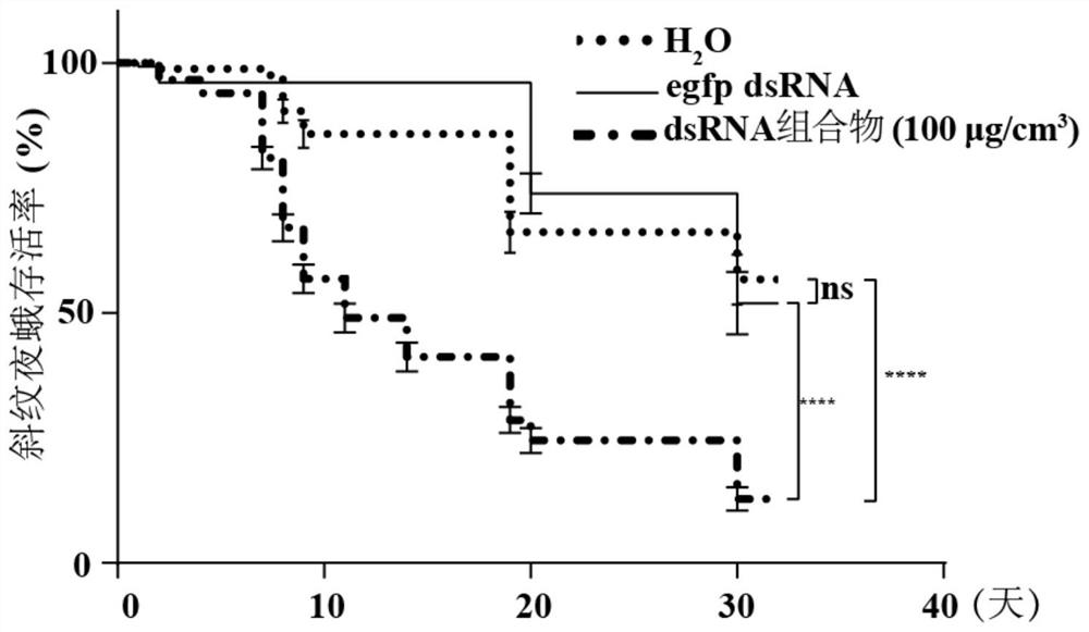 DsRNA composition for biological control