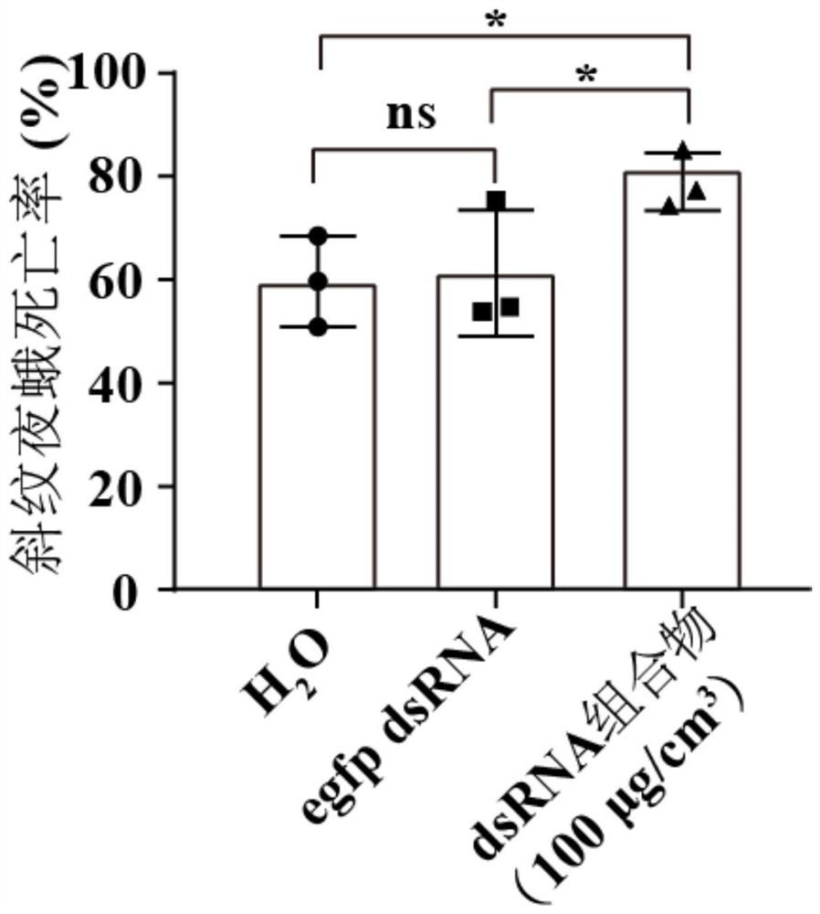 DsRNA composition for biological control